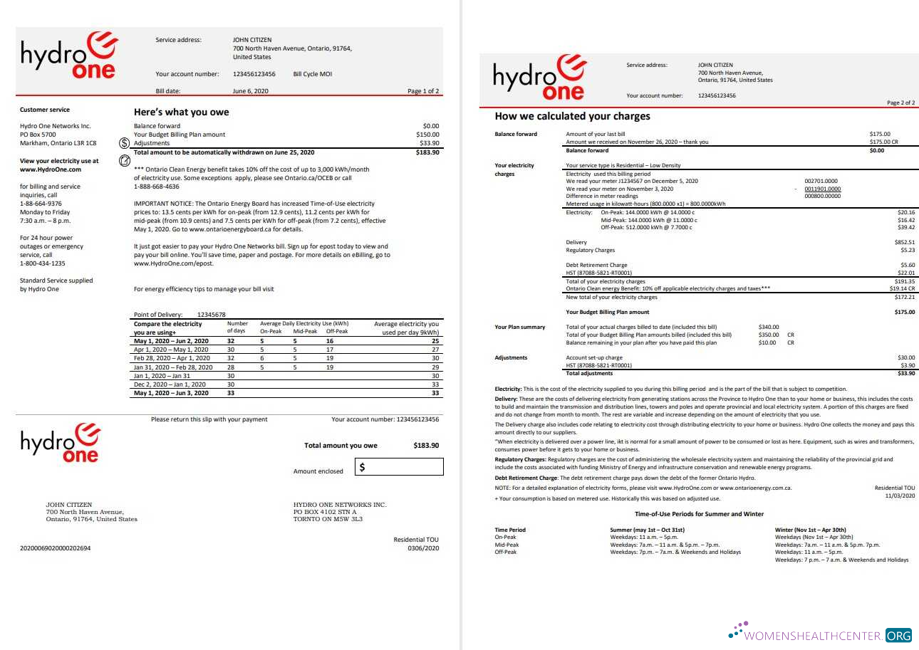 download USA Ontario’s Hydro One electricity utility bill template in Word and PDF format (2 pages) PDF template